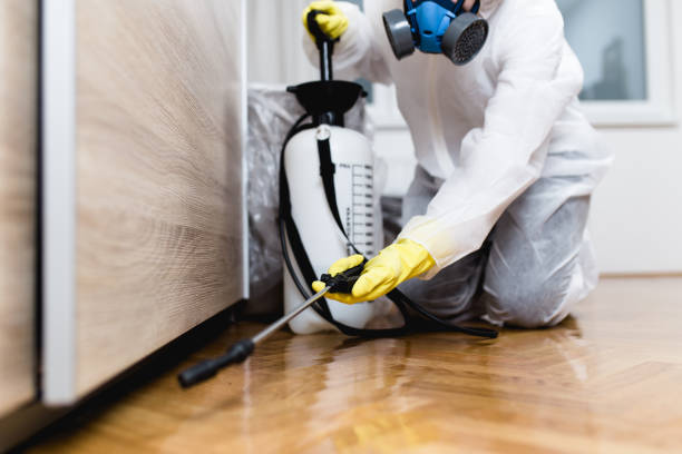 Best Cockroach Control Services  in Lake Ketchum, WA